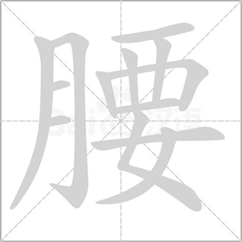 腰的造詞|腰字造詞 / 腰字詞語大全